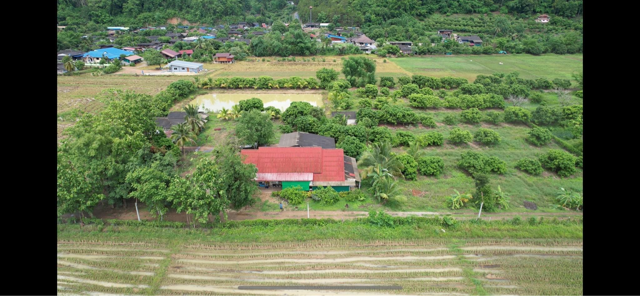 ขายที่ดินร้านอาหารปู๋หลงโต้ง เชียงดาว ตำนวน 30 ปี