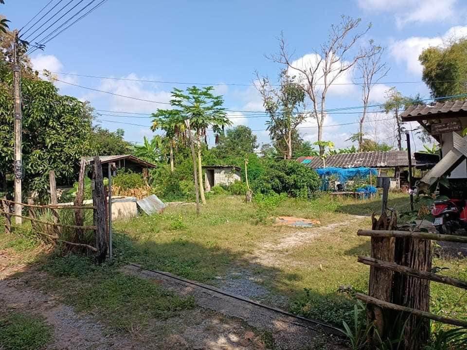 ที่ดินเปล่าแบ่งขาย ห้วยสัก อ.เมืองเชียงราย จ.เชียงราย 2 งาน