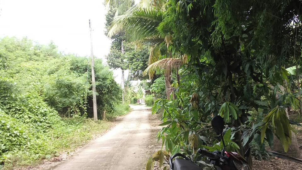 ที่ดินสวนกล้วย มีบ่อบาดาล น้ำ-ไฟเข้าถึง พิษณุโลก 2-3-37.1