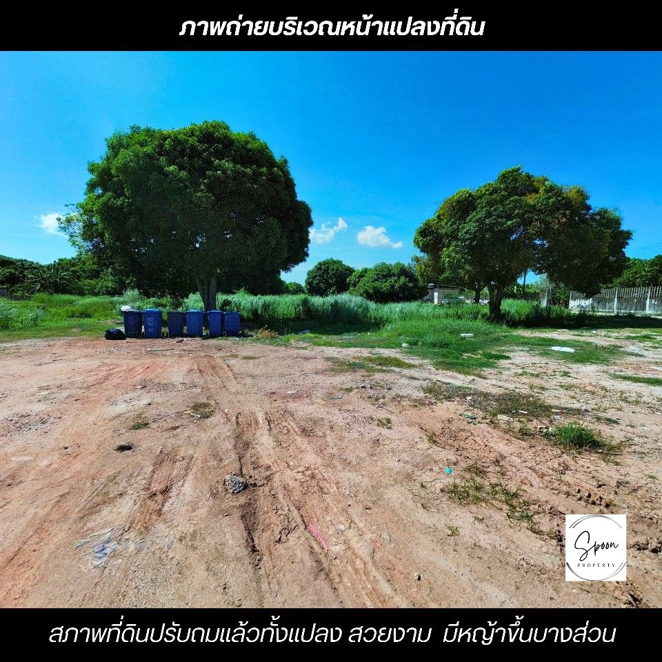 ขายที่ดินสวย แหล่งชุมชน ถมแล้วทั้งแปลง ใจกลางเมืองระยอง