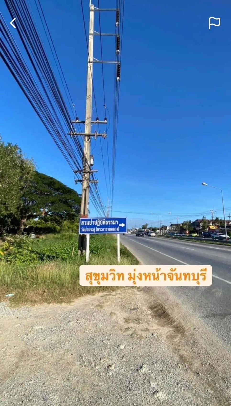 ขายที่ดิน 8ไร่37ตารางวา จังหวัดระยอง  ติดถนนเส้นสุขุมวิท