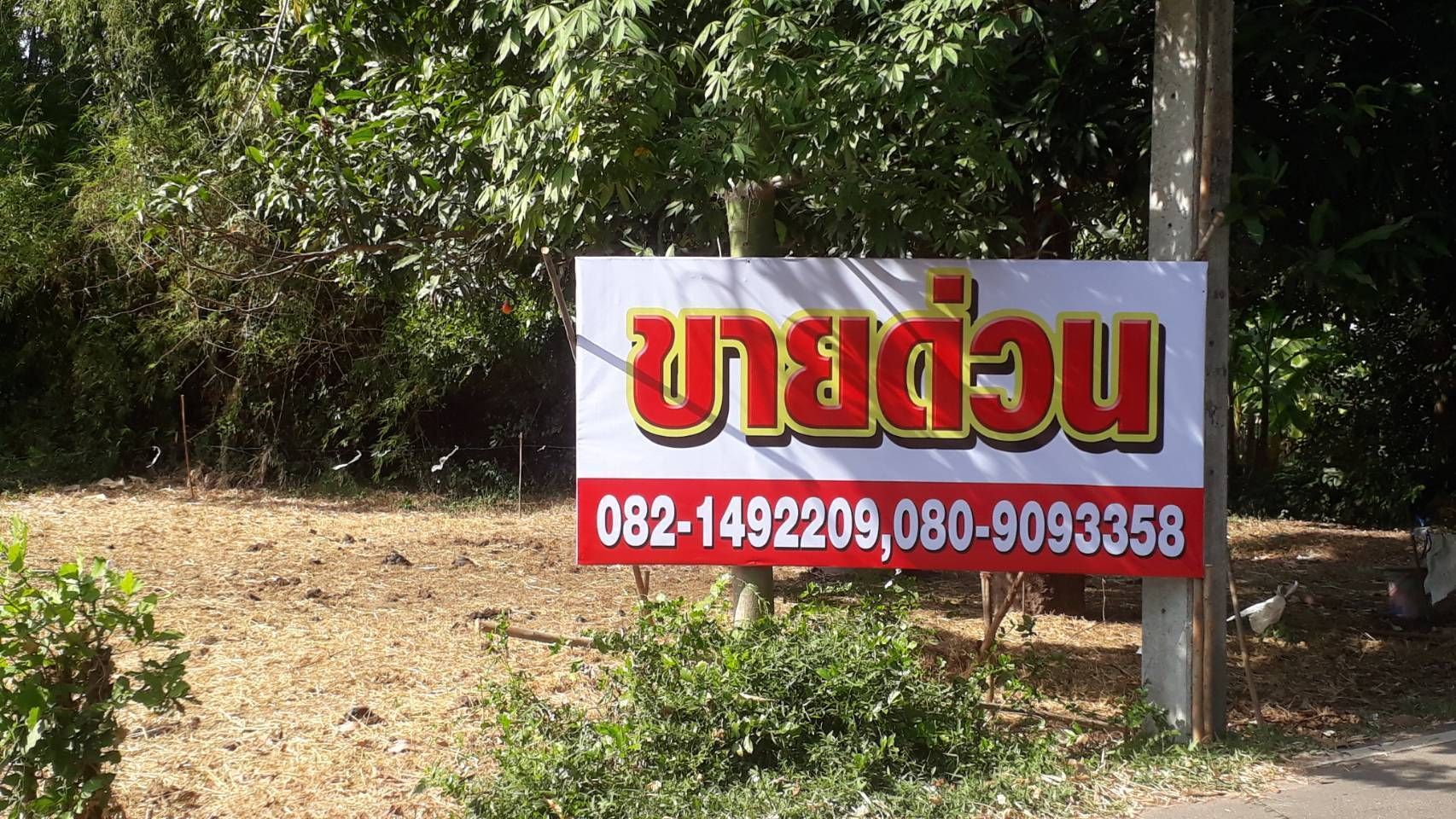 ขายที่ดินปราจีนบุรี อำเภอศรีมหาโพธิ ขายยกแปลงรวม 3 โฉนด ขายด่วน 🏡ที่ดินเปล่า ทำเลทอง  ถมแล้ว ติดถนนลาดยาง