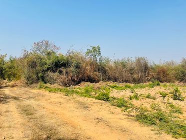 ขายที่ดิน บ้านโฮ่ง ลำพูน 2-0-22.6 ไร่ 