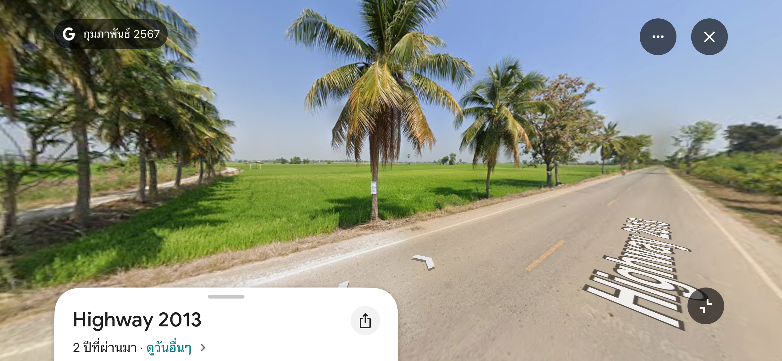 ขายที่ดินพิษณุโลก บางกระทุ่ม ขายด่วน