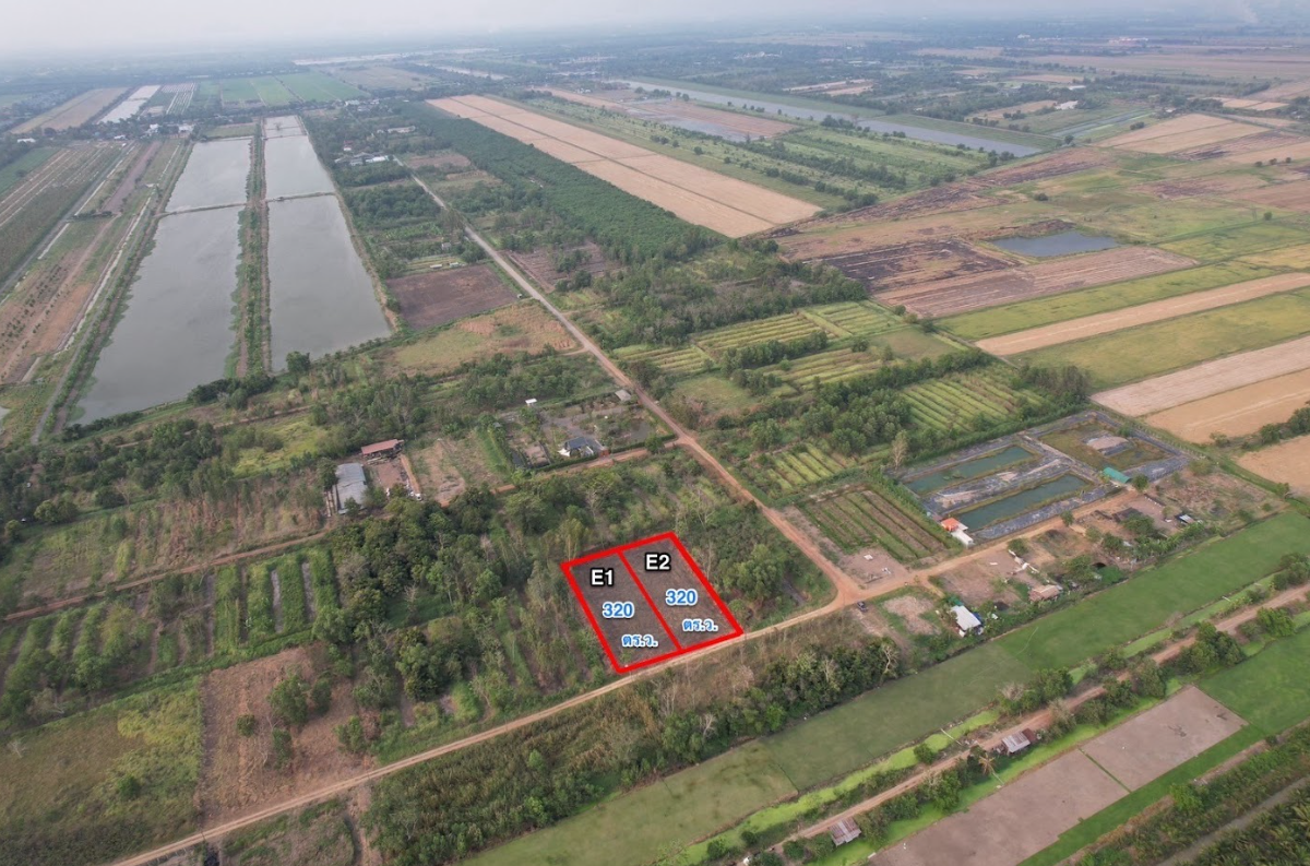 ขายที่ดินปทุมธานี ลำลูกกา คลอง 13 โสมศิริเฟส 4