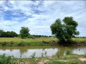 ขายที่นา จ.ราชบุรี อ.บ้านโป่ง