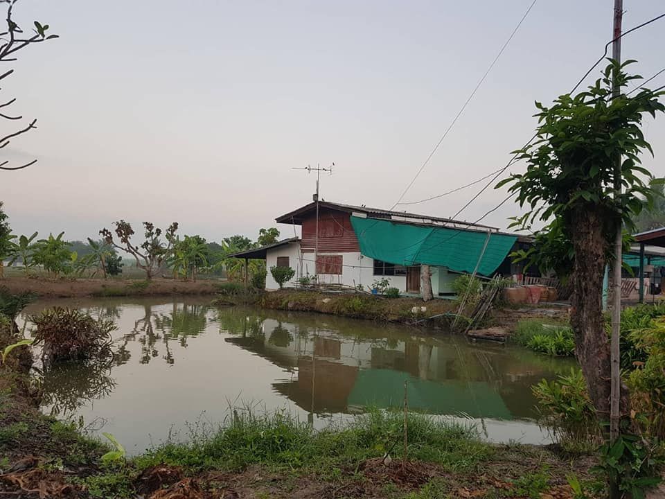 ขายที่ดินพร้อมบ้าน คลอง 9 ตำบล บึงซำอ้อ  อำเภอหนองเสือ จังหวัดปทุมธานี