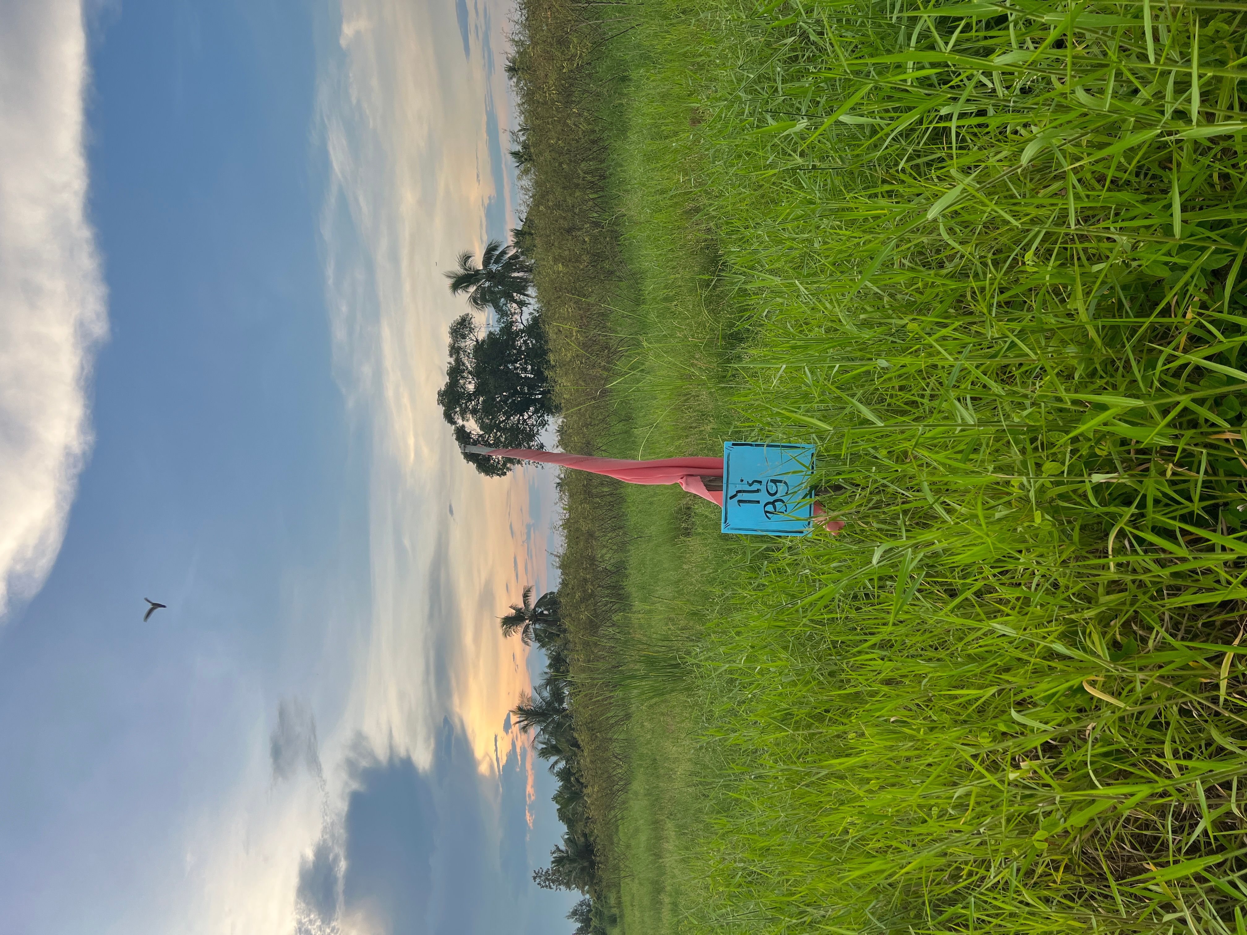 ที่ดิน คลอง 9 หนองเสือ ปทุมธานี 1-0-0