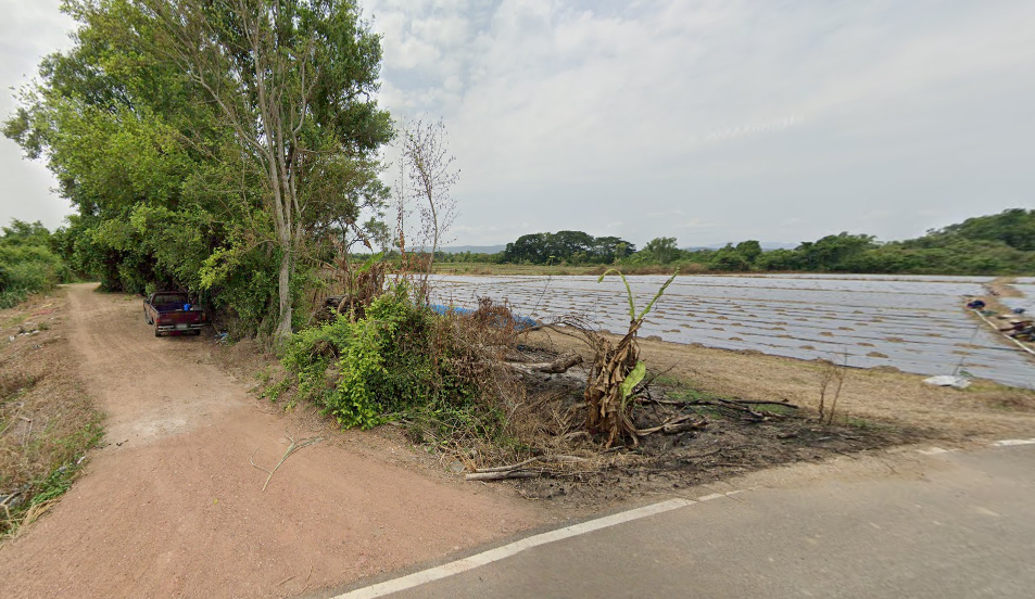 ขายที่ดินลำพูน ที่ดินทำเลงาม บรรยากาศดี ใกล้แหล่งอำนวยความสะดวกรอบด้าน เมืองลำพูน 1-3-43.1