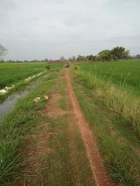 ที่ดินทุ่งนา มหาสารคาม 6-3-93
