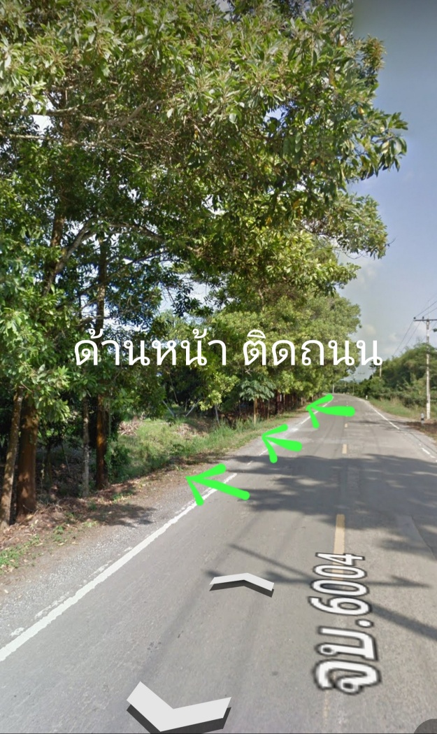 ขายที่ดินโฉนด พร้อมสวนลำใย อำเภอ สอยดาว จันทบุรี ขนาด 1 ไร่ 24 ตร.วา
