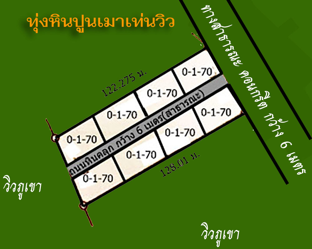 ที่ดินวิวภูเขา แบ่งขาย 170 ตารางวา อ.เมืองเพชรบูรณ์ จ.เพชรบูรณ์