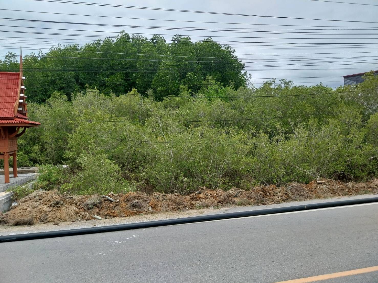 ขายที่ดินสวย ในราคาสุทธิเท่าราคาประเมินรัฐ ติดถนน 1 ด้านหน้ากว้าง 40 เมตร ด้านหลังติดคลอง  