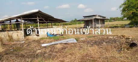 ที่ดิน 1 งาน หางดง เชียงใหม่