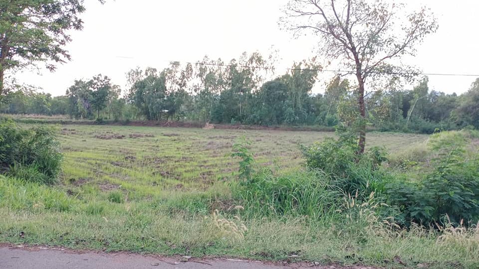 ที่ดิน ใกล้ชุมชน ใกล้หมู่บ้าน เกษตรสมบูรณ์ ชัยภูมิ 2-3-20 ไร่