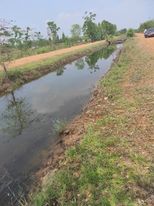 ที่ดินหน้าศาลแขวง ปากท่อ ราชบุรี  60 ไร่