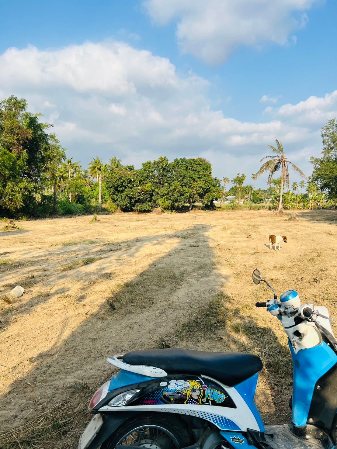 ขายที่ดิน ชลบุรี บางละมุง 1 ไร่