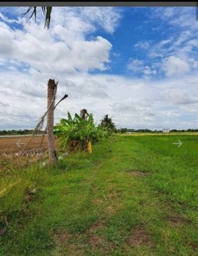 ที่ดินแปลงสวย ใกล้ รร.เตรียมอุดมน้อมเกล้า สามโคก ปทุมฯ 5-2-18