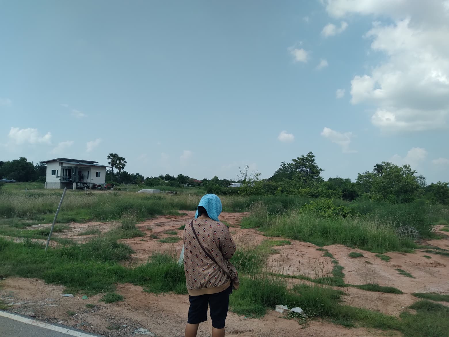 ที่ดินเปล่า โนนสูง โคราช 1-1-41