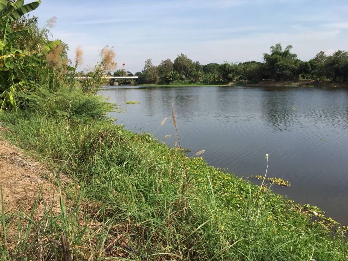 ขายที่ดิน สันป่าตอง เชียงใหม่ ติดถนน มีที่งอก