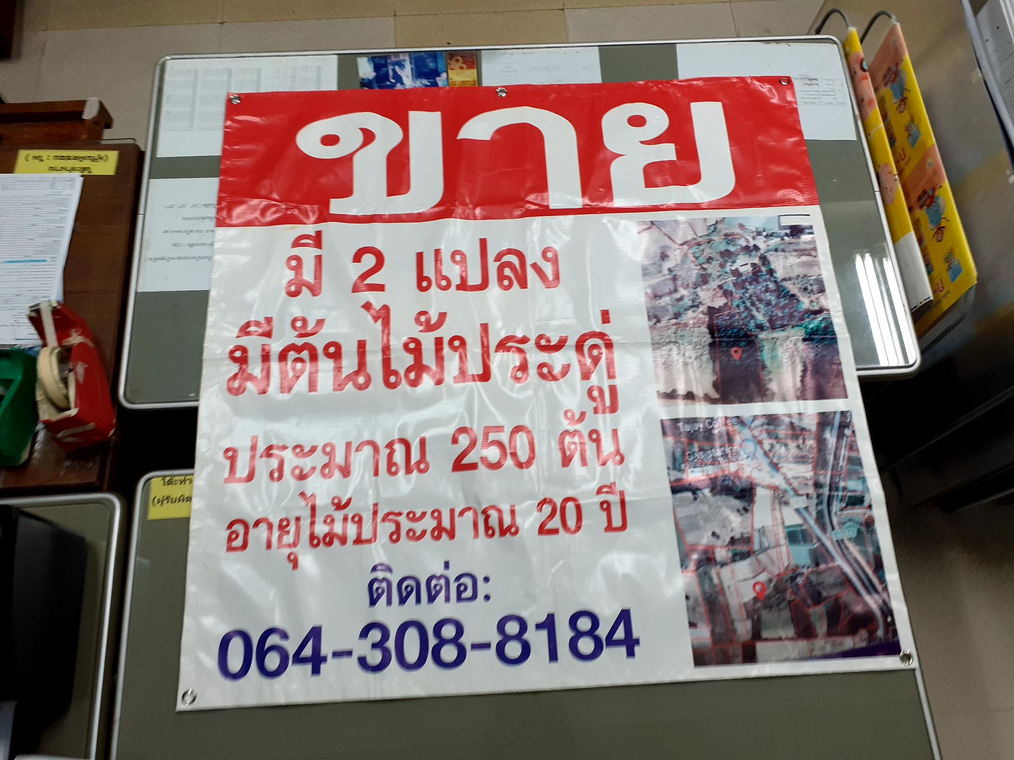 ขายที่ดินกาฬสินธุ์ จ.กาฬสินธุ์ อ.ยางตลาด 29-1-10 ไร่