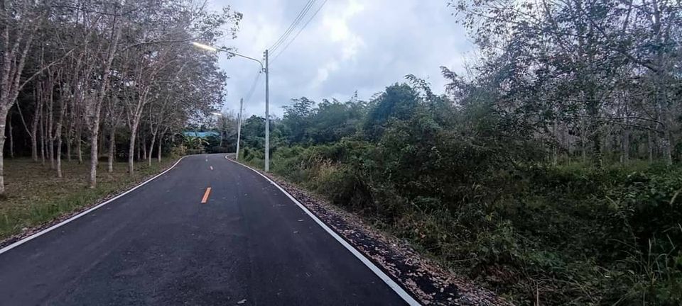 ที่ดิน ติดถนนลาดยาง ใกล้ชุมชนบ้านท่าข้าม 0-3-57.6