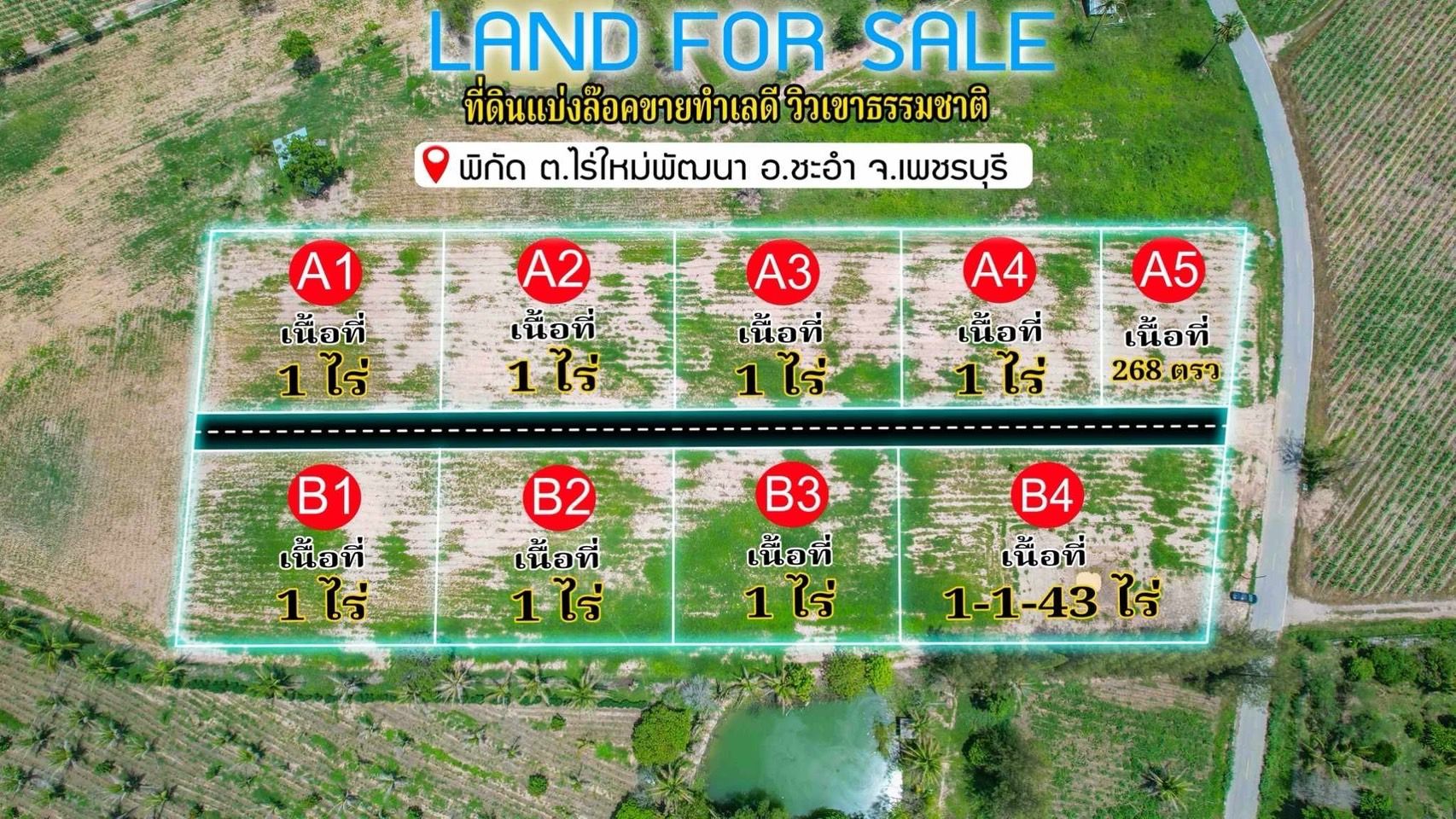 ขายที่ดินเพชรบุรี ที่ดินแบ่งขาย ไร่จัดสรร by คุณแหม่ม ทำเลดี แปลงสวย แบ่งขายแปลงละ 1 ไร่. ใกล้ชุมชน ใกล้แหล่งอำนวยความสะดวก บรรยากาศดีมาก ชะอำ เพชรบุรี 1-0-0 ไร่.
