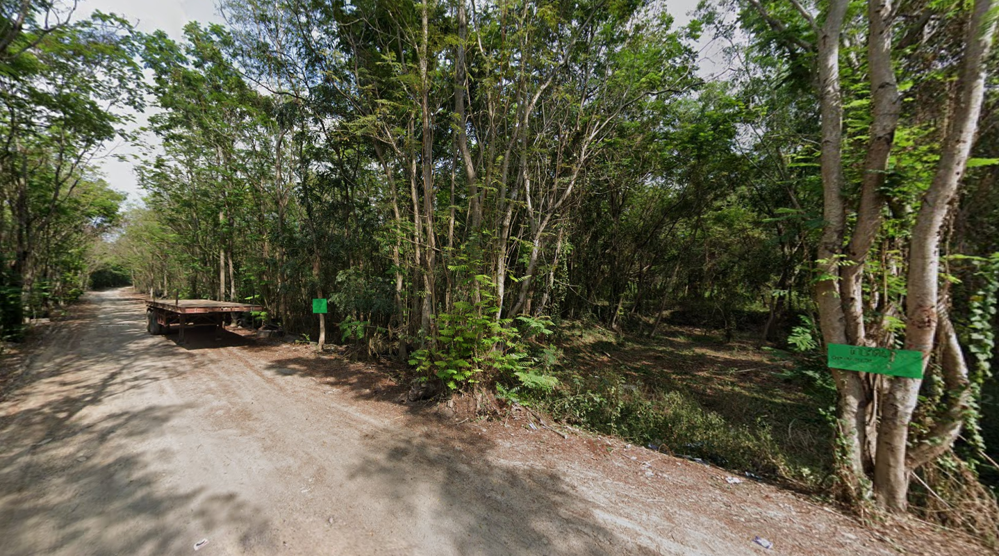 ขายที่ดินปทุมธานี เมืองปทุมฯ ที่ดินทำเลดี บรรยากาศดี ไม่ไกลจากแหล่งอำนวยความสะดวก 1-2-30 ไร่.