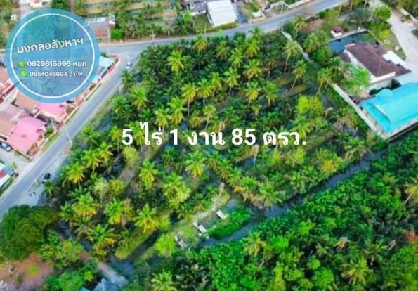 ที่ดินสวนมะพร้าว แปลงสวย สมุทรสงคราม 5-1-85