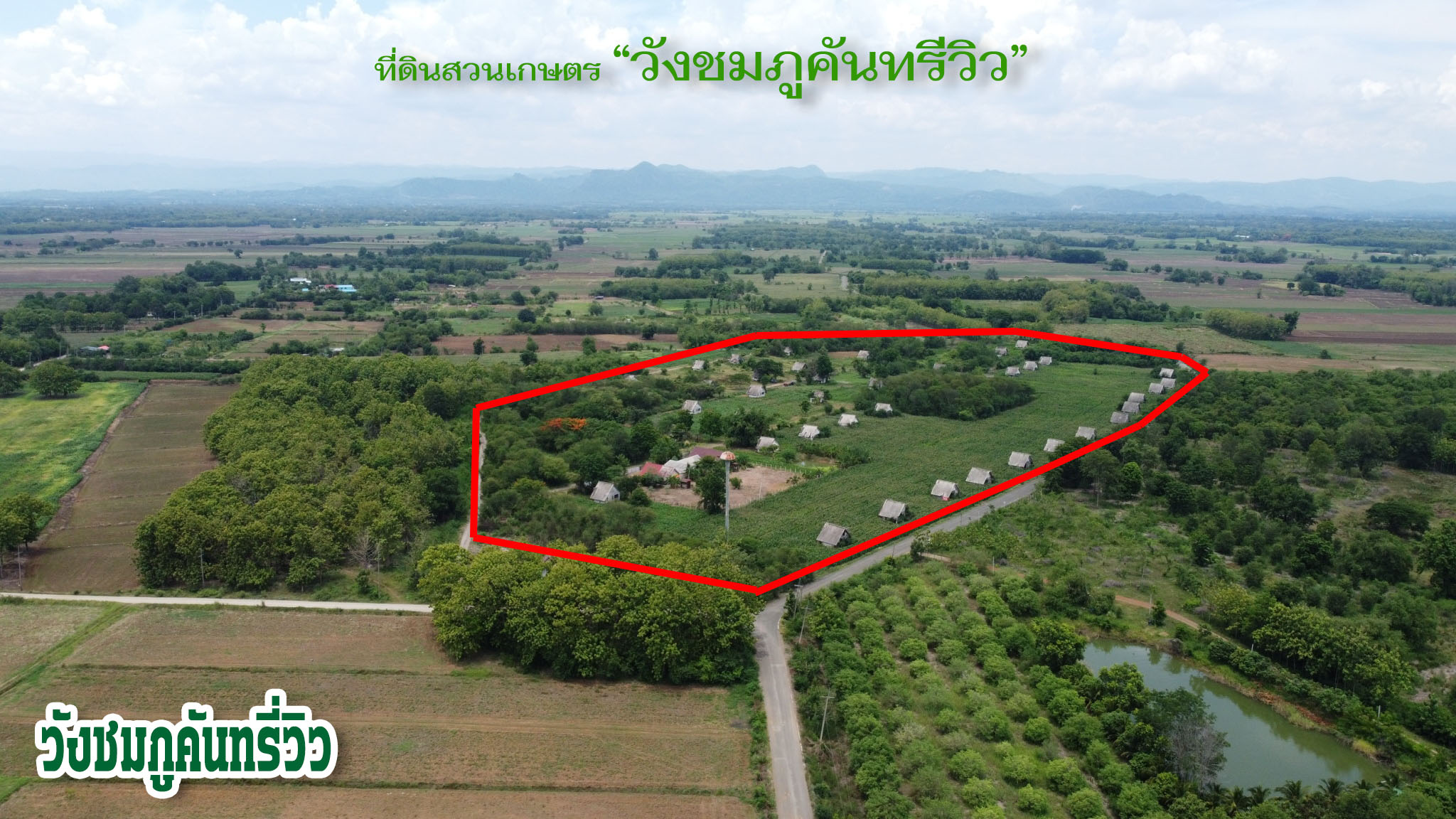 ที่ดินเปล่า แบ่งขาย เริ่มต้นที่ 3 งาน 79.5 ตารางวา อ.เมืองเพชรบูรณ์  จ.เพชรบูรณ์