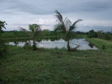 ขายด่วนที่ดินแหลมสิงห์จันทบุรี