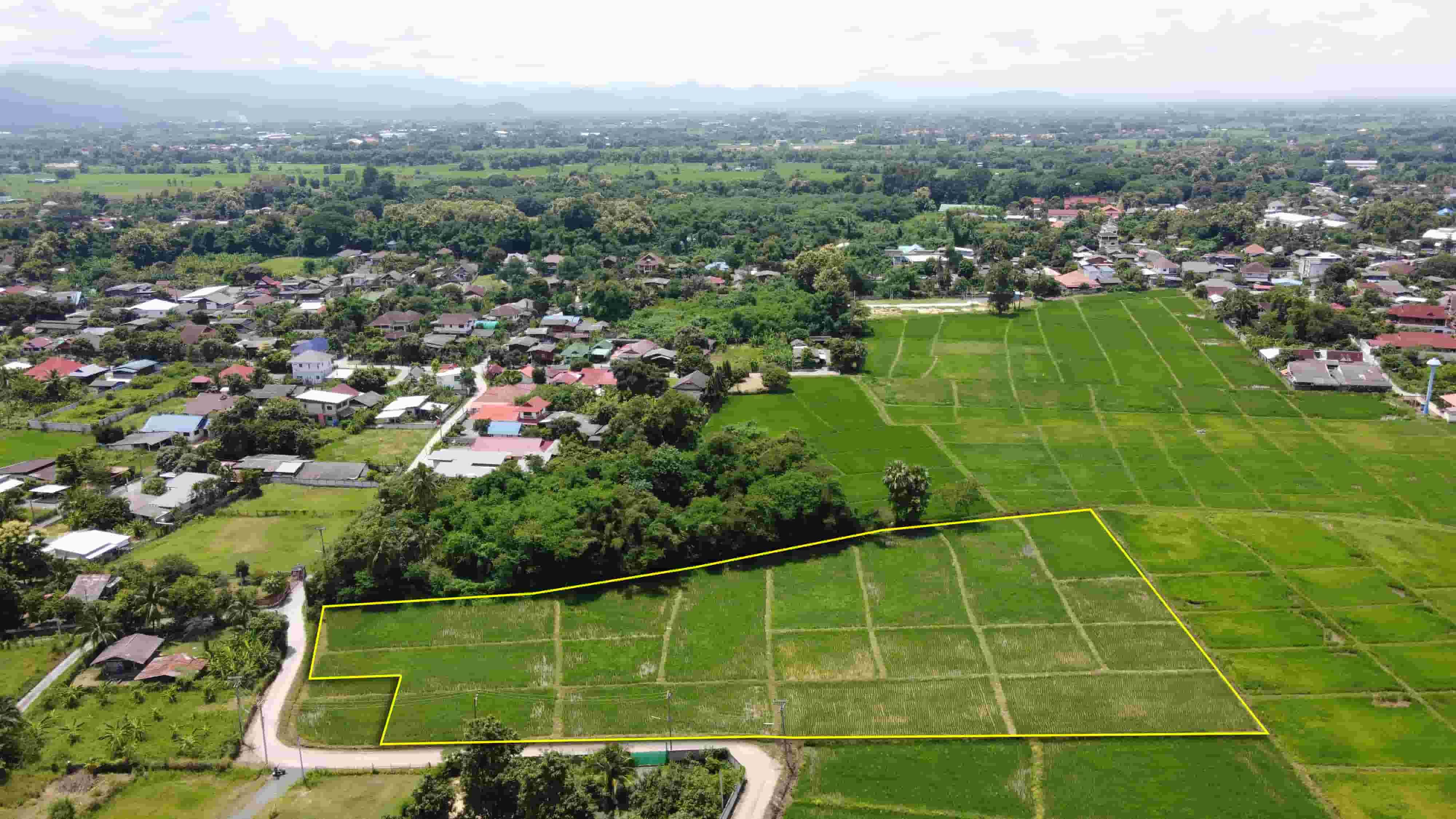 ที่นา 5-3-70 ไร่ (มีไฟฟ้าประปา ติดถนนคอนกรีต 2ด้าน )