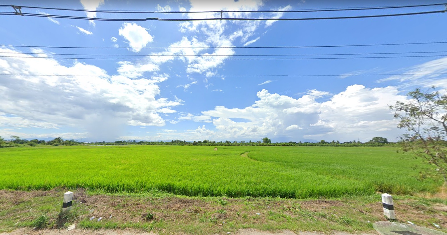 ที่ดินเปล่าทำเลดี ติดถนนบายพาส ไปโรงพยาบาลลำพูน 15-1-31.4 ตร.ว.