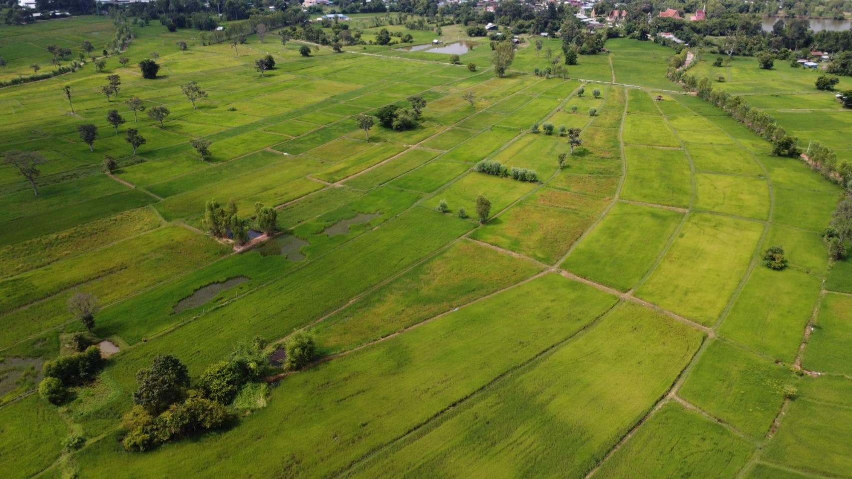 ขายด่วนที่นาติดคลองน้ำสาธารณะประโยชน์ ร้อยเอ็ด 4-2-30 ไร่