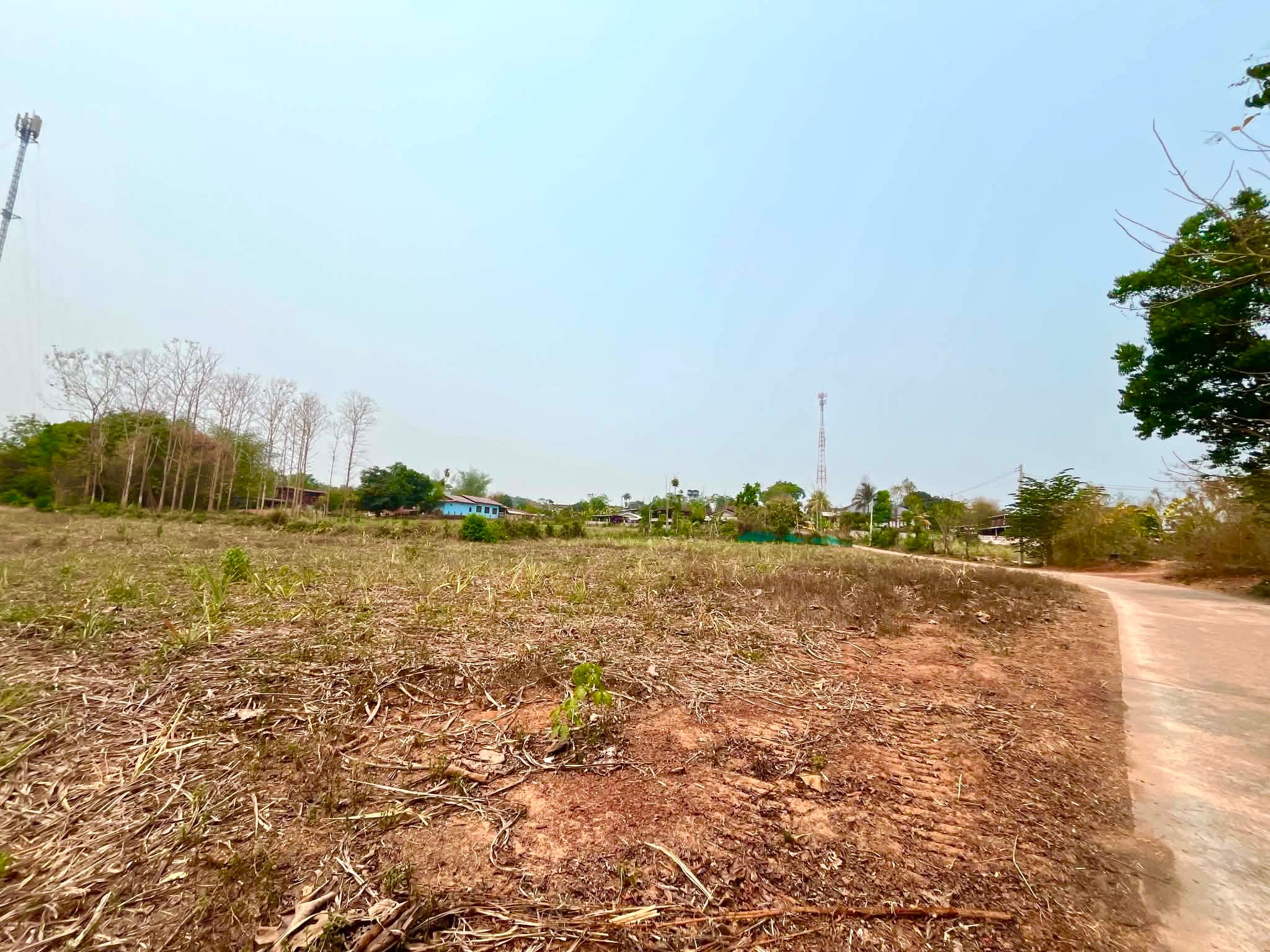 ขายที่ดินทำบ้านสวน เทศบาลปากปวน อ.วังสะพุง จ.เลย