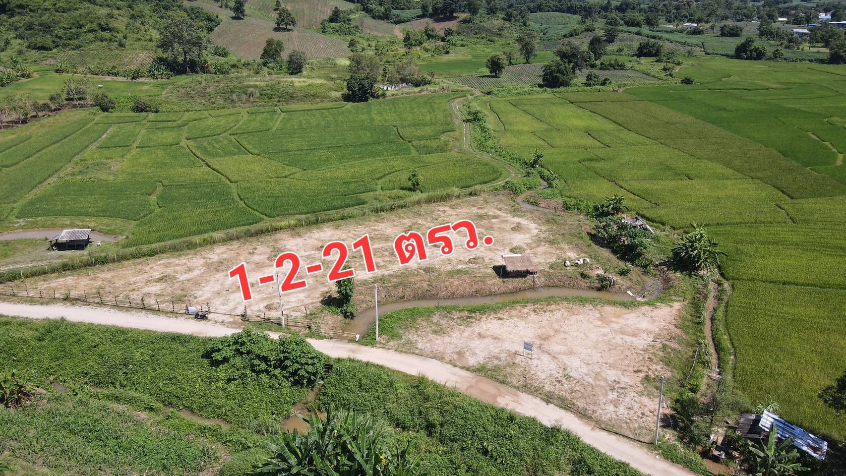 ขายที่ดินเชียงราย ที่ดินสวนทุเรียน ดอยฮาง ติดถนนสาธารณะ เมืองเชียงราย 1-2-21
