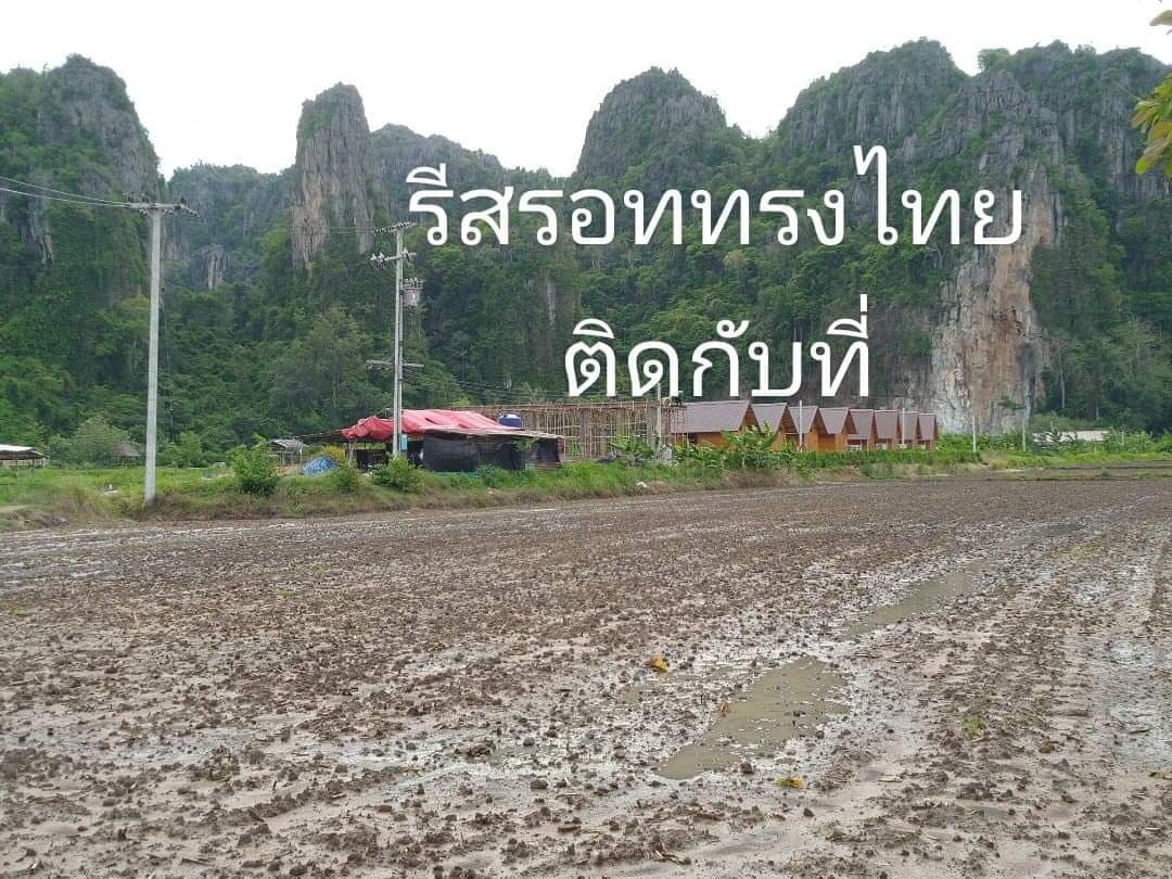 ขายที่ดินเปล่า เนินมะปราง พิษณุโลก 6-0-81
