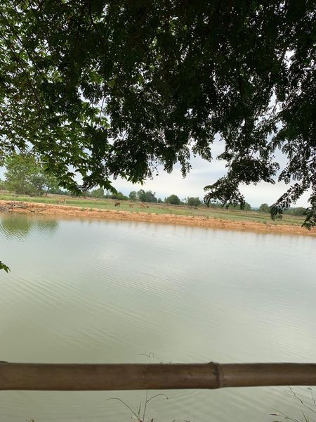 ขายที่ดินขอนเเก่น อ.เมืองขอนเเก่น 25-2-60 ไร่