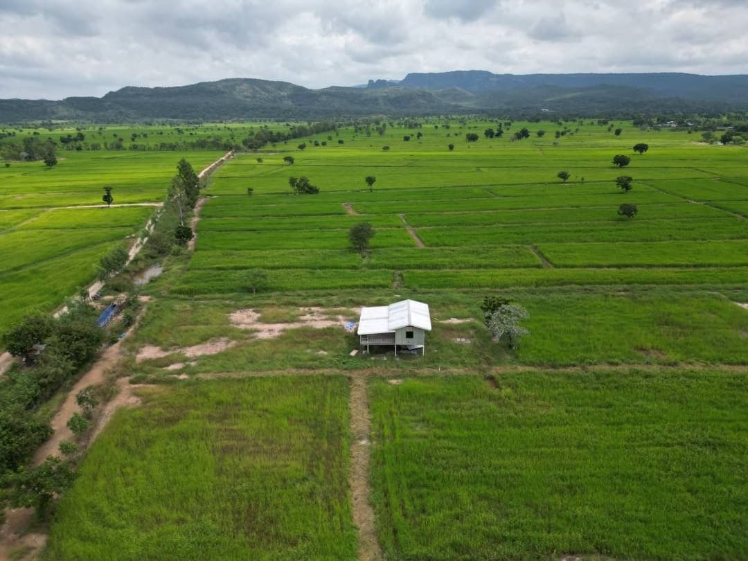 ขายบ้านพร้อมที่ดิน ลพบุรี บรรยากาศดี แปลงสวย บ้านสวย เมืองลพบุรี 1-0-0