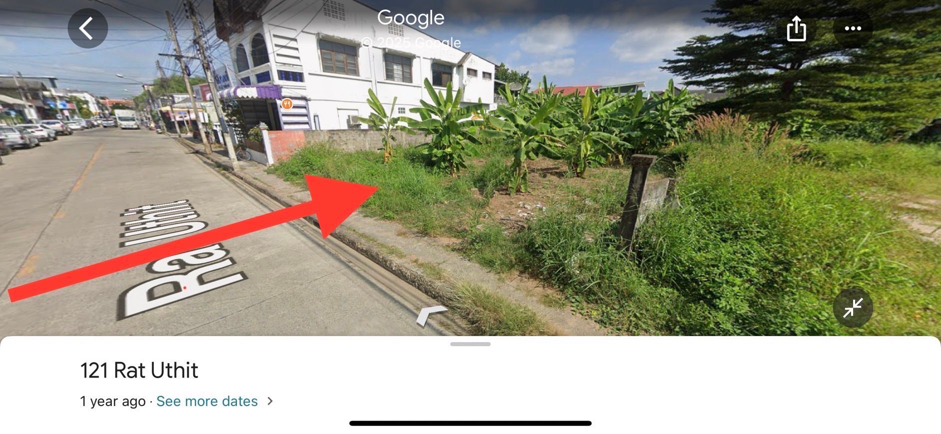 ขายที่ดินเลย อำเภอเมือง ที่ดินทำเลค้าขายใจกลางเมืองเลย