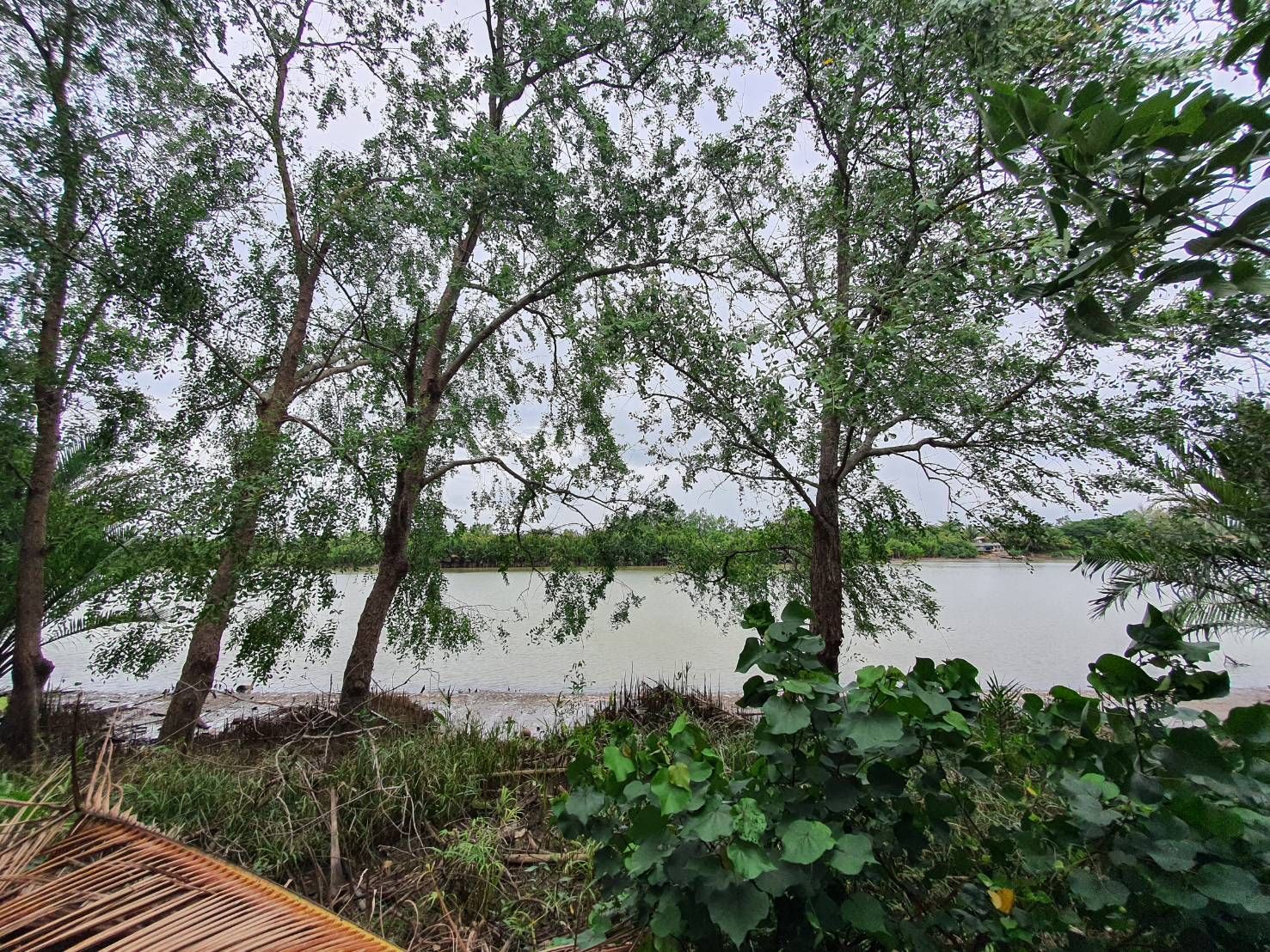 ขายที่ดินริมน้ำแปลงสวย 3-1-71 ไร่ ติดคลองใหญ่ วิวพระอาทิตย์