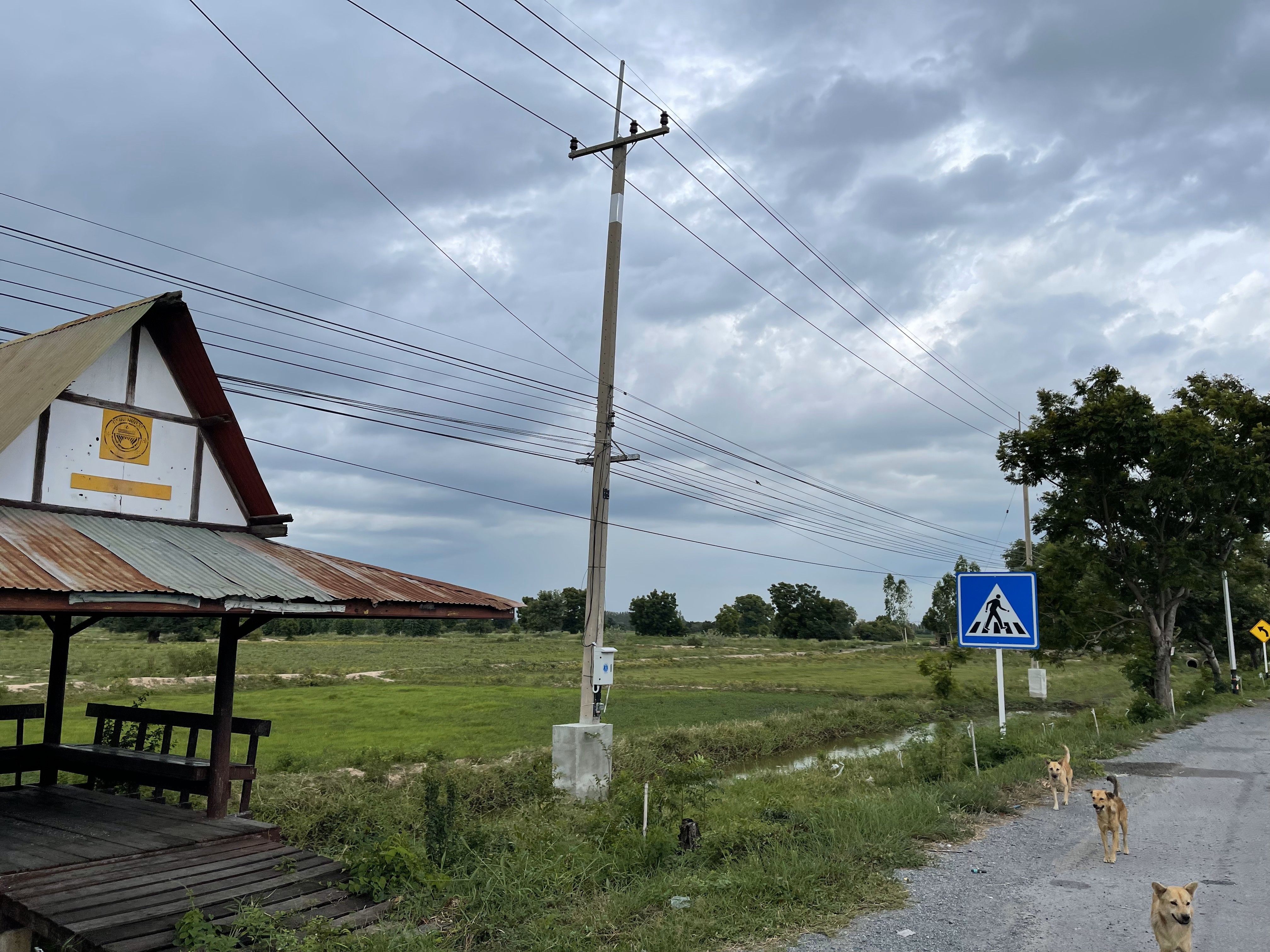 ขายที่ดินสุพรรณฯ ดอนเจดีย์ ที่ดินติดทางหลวง 3264  84-2-34 ไร่.