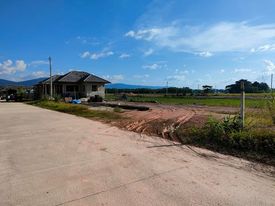 ที่ดินเปล่าท่าสาย เชียงราย 111 ตร.ว