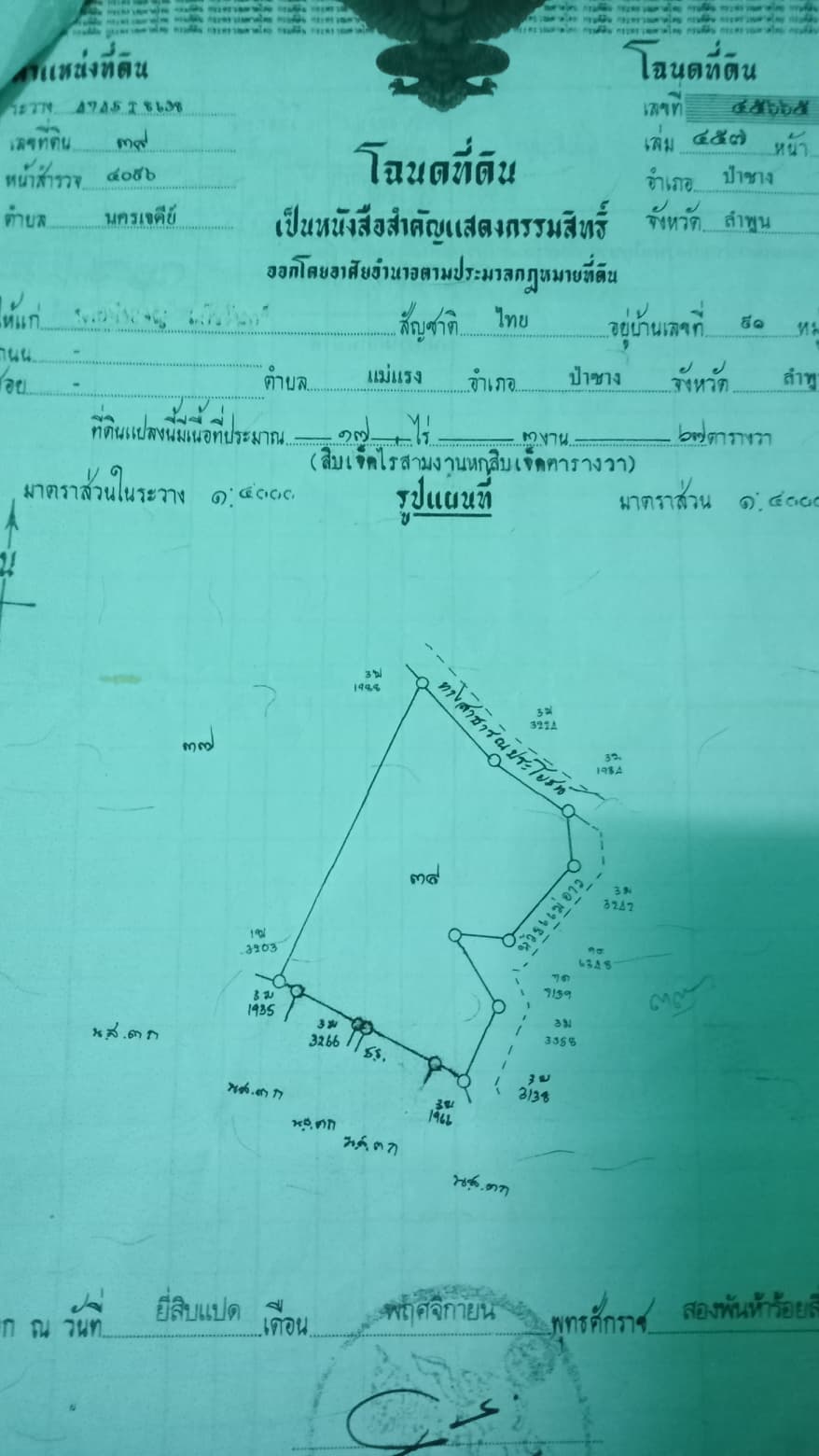 ที่ดินสวนลำไย ป่าซาง ลำพูน 49-1-74