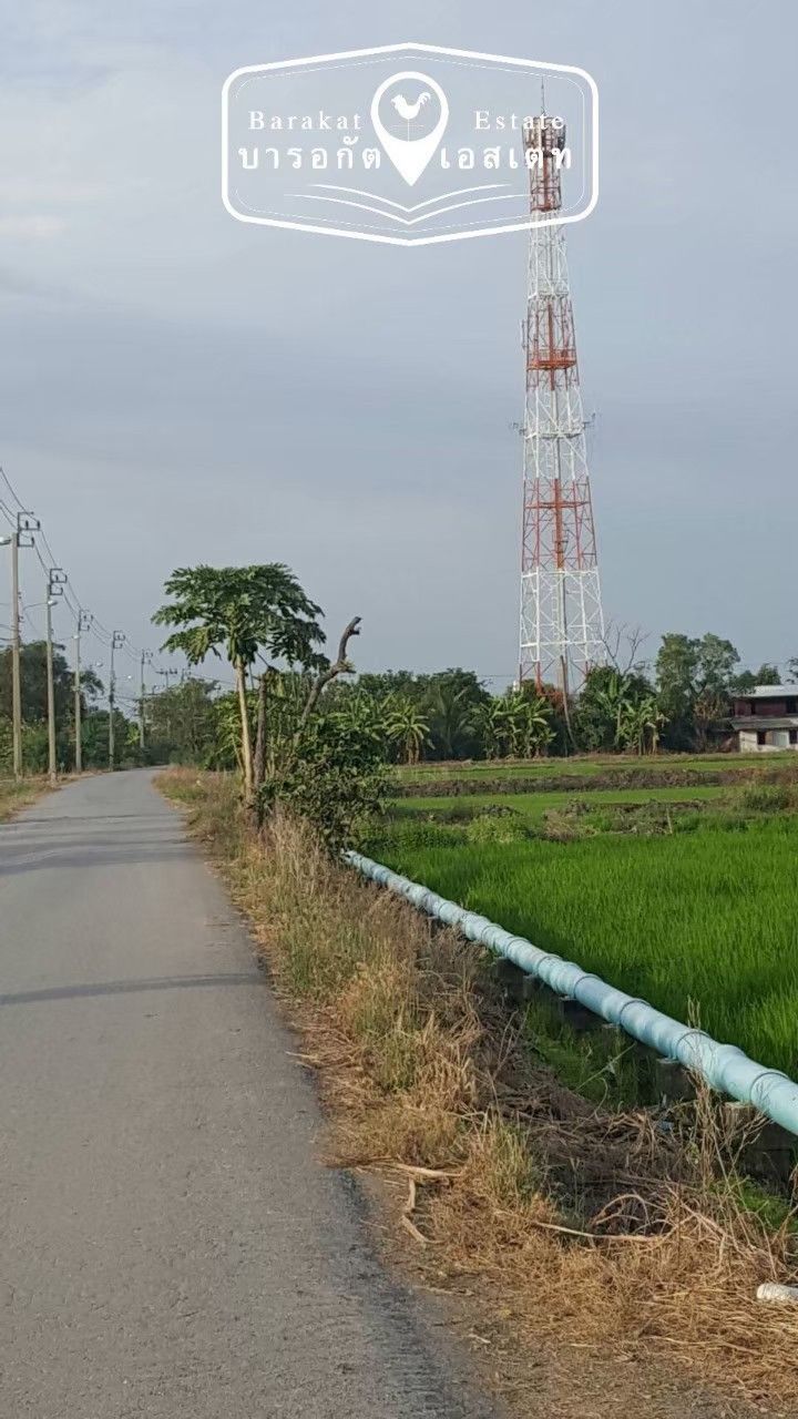 ขายที่ดินหนองจอง กทม. แปลงสวย ราคาสุดพิเศษ