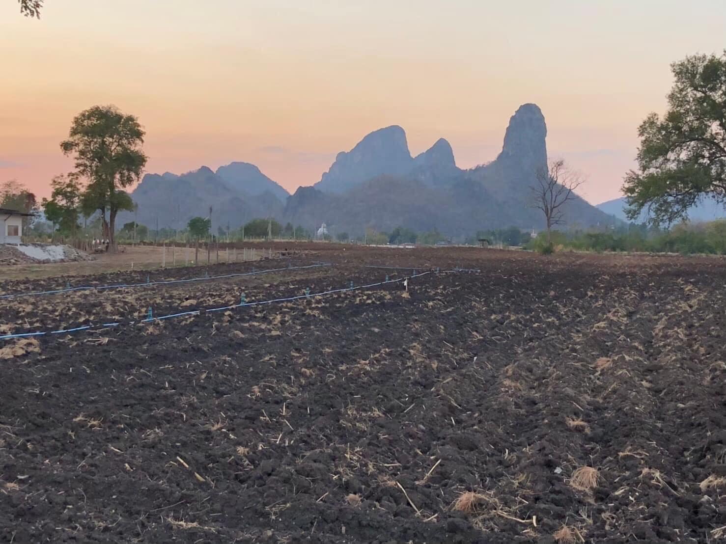 ขายที่ดินวิวเขา ต.นิคมสร้างตนเอง อ.เมือง จ.ลพบุรี 3-2-30 ไร่