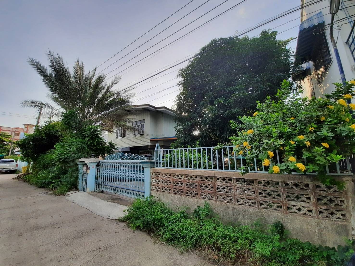 เจ้าของขายเอง  ติดตลาดสี่ขวาสี่ภาค  อยุธยา