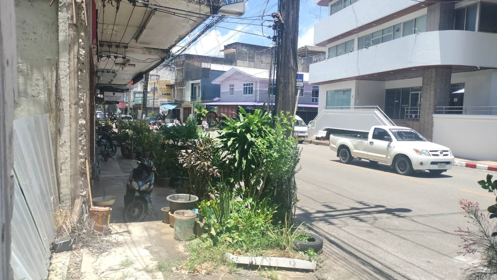 ขายที่ดินติดถนนไทรงาม(หน้ารพ.ราชดำเนิน)