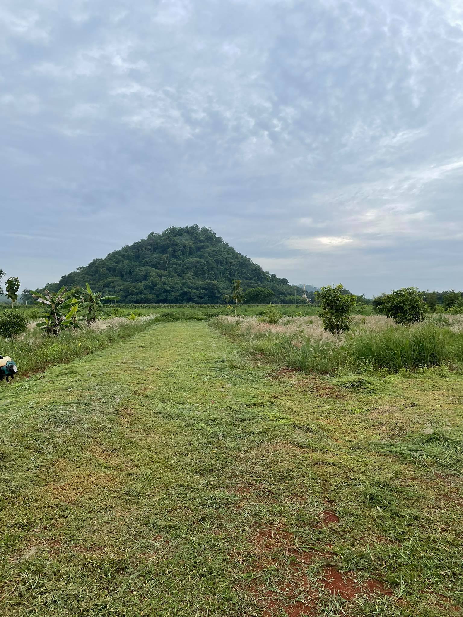 ที่ดินเปล่าปากช่อง 2 ไร่