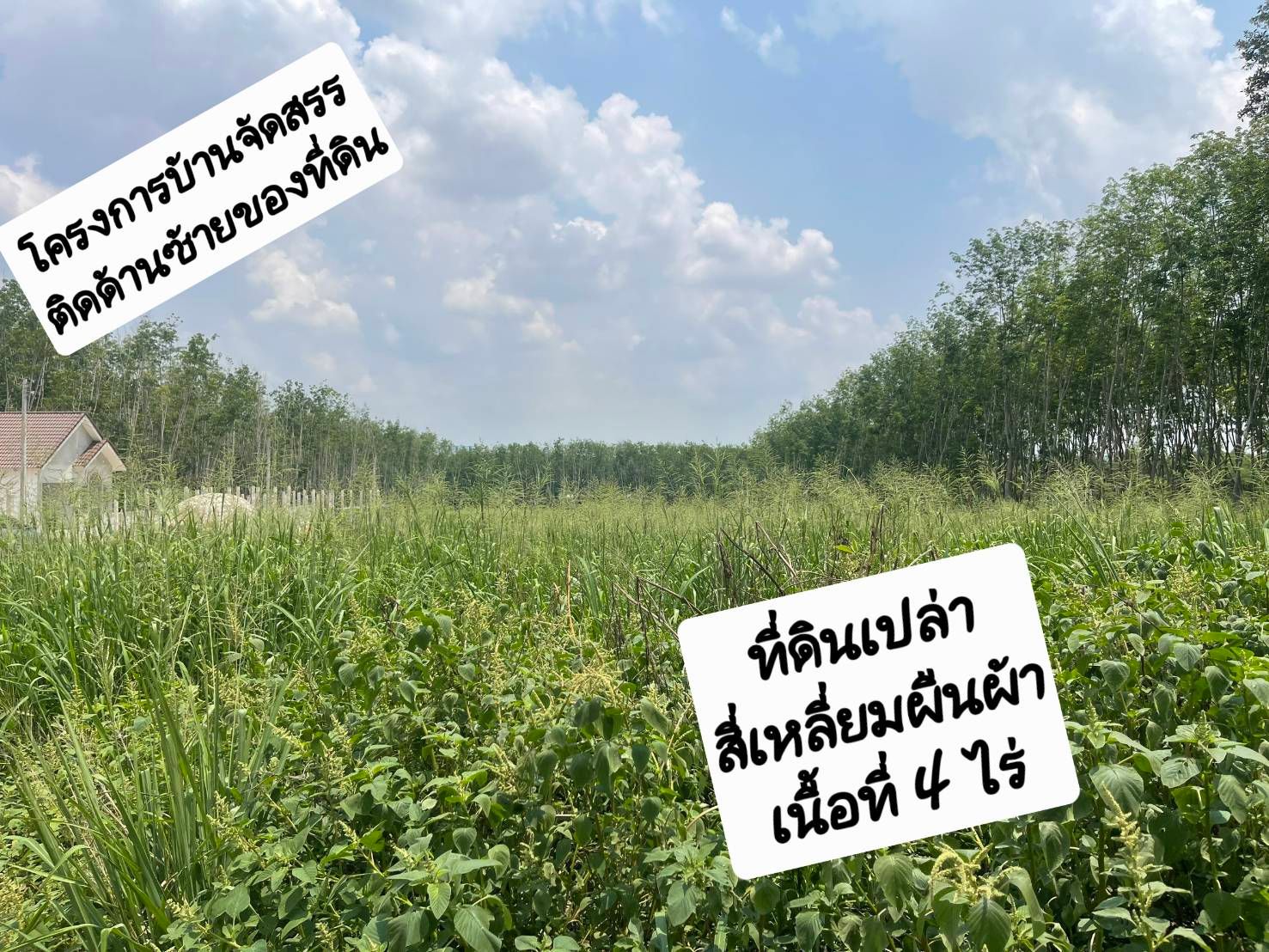 ขายที่ดินระยอง อำเภอนิคมพัฒนา ที่ดินเปล่า 4 ไร่